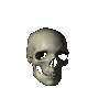 Skullani.gif